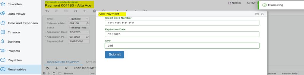 Entering Credit Card details under the Payments and Applications