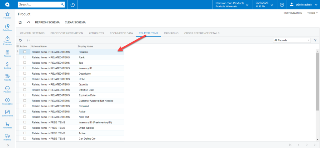 Schema Names and Display Names under the Related Items